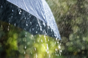 An image of rain on an umbrella, which is not the best time to paint house exterior.