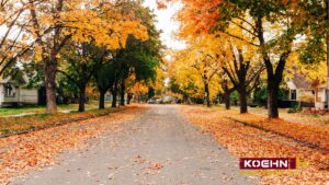 Let’s Make Your Home Shine for Fall