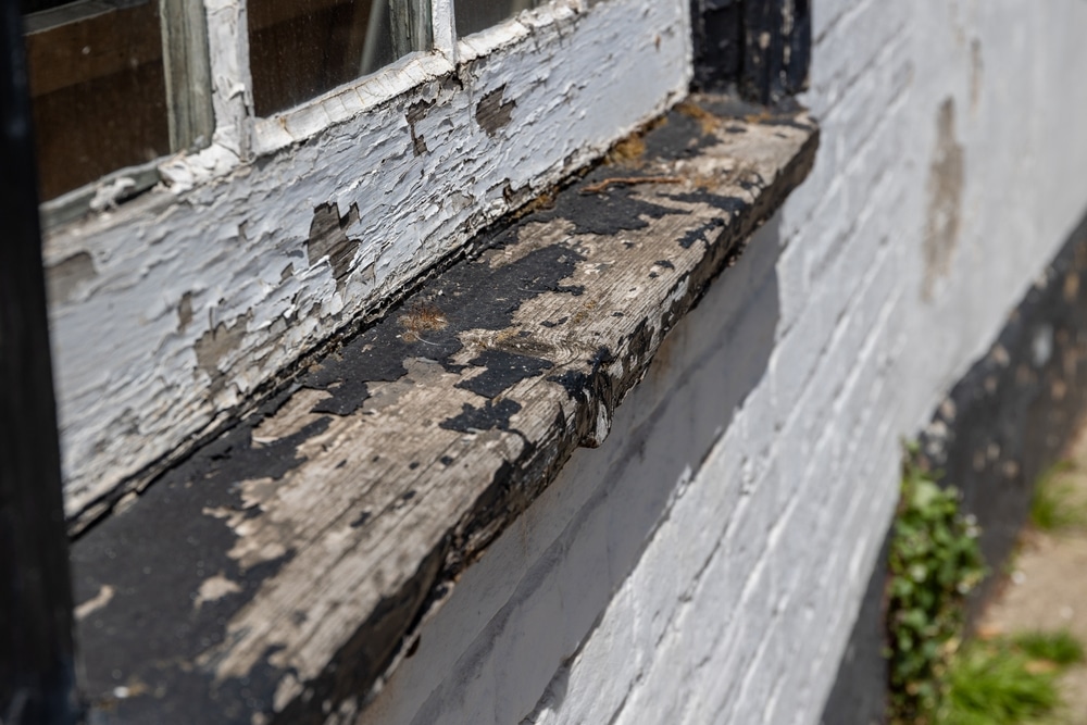 Close-up of peeling, damaged exterior paint on a wooden window frame, illustrating why the answer to 'can you use interior paint outside' is no.